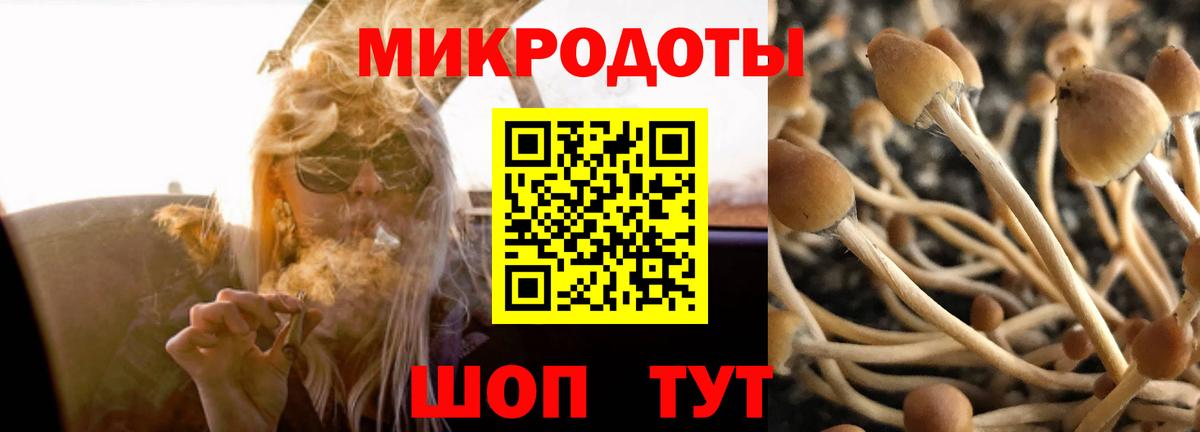 Псилоцибиновые грибы прущие грибы  Вход с VPN  Амурск 